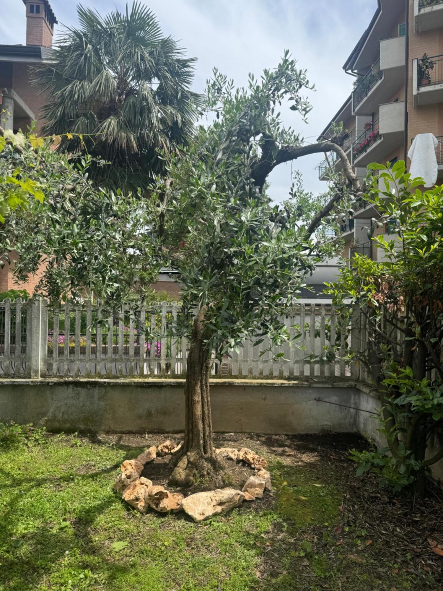 Apartmán L'Ulivo Ciriè Exteriér fotografie